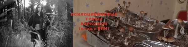 СК Каменск-Шахтинский