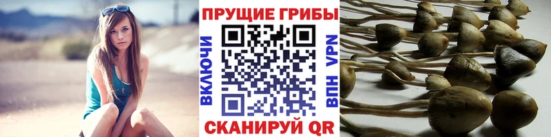 Галлюциногенные грибы ЛСД  Купить  Кольчугино 